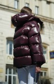  Жадон